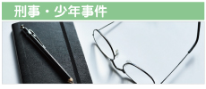 迅速な事件解決に向けて、頼れる弁護士をお選び下さい！